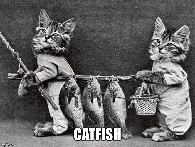 Ancient Feline Fun | CATFISH | image tagged in ancient feline fun | made w/ Imgflip meme maker