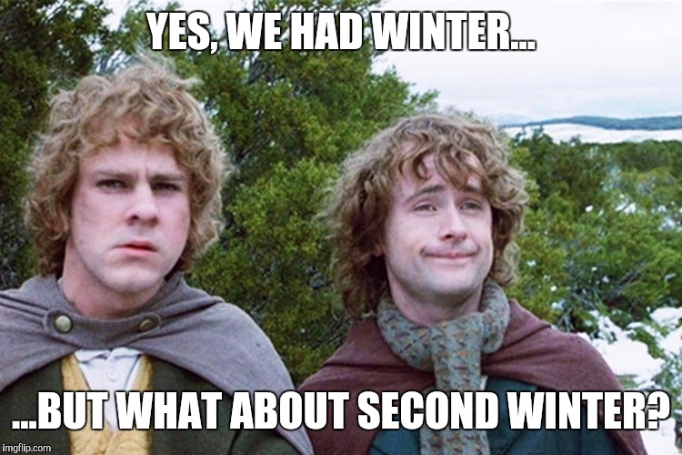 Stupid Canadian Weather | YES, WE HAD WINTER... ...BUT WHAT ABOUT SECOND WINTER? | image tagged in hobbits,second breakfast,winter,memes | made w/ Imgflip meme maker