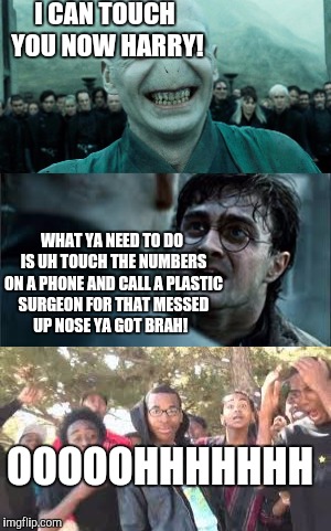 I CAN TOUCH YOU NOW HARRY! WHAT YA NEED TO DO IS UH TOUCH THE NUMBERS ON A PHONE AND CALL A PLASTIC SURGEON FOR THAT MESSED UP NOSE YA GOT BRAH! OOOOOHHHHHHH | image tagged in harry potter,harry potter meme,voldemort | made w/ Imgflip meme maker