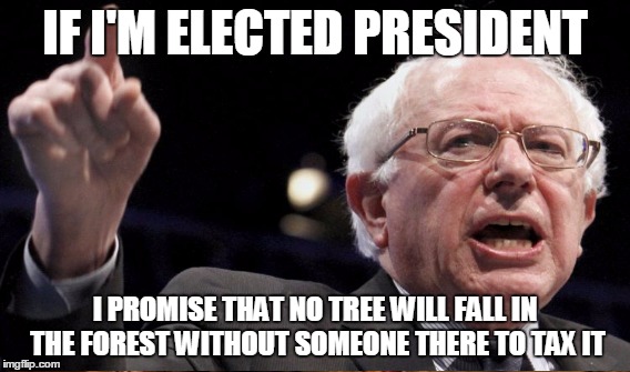 IF I'M ELECTED PRESIDENT I PROMISE THAT NO TREE WILL FALL IN THE FOREST WITHOUT SOMEONE THERE TO TAX IT | made w/ Imgflip meme maker