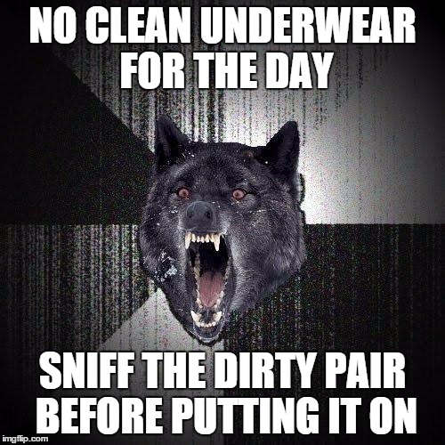 Insanity Wolf | NO CLEAN UNDERWEAR FOR THE DAY; SNIFF THE DIRTY PAIR BEFORE PUTTING IT ON | image tagged in memes,insanity wolf | made w/ Imgflip meme maker
