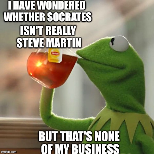 But That's None Of My Business Meme | I HAVE WONDERED WHETHER SOCRATES BUT THAT'S NONE OF MY BUSINESS ISN'T REALLY STEVE MARTIN | image tagged in memes,but thats none of my business,kermit the frog | made w/ Imgflip meme maker