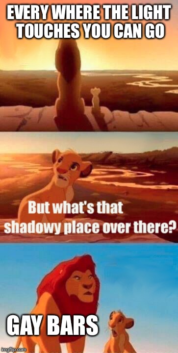Simba Shadowy Place | EVERY WHERE THE LIGHT TOUCHES YOU CAN GO; GAY BARS | image tagged in memes,simba shadowy place | made w/ Imgflip meme maker