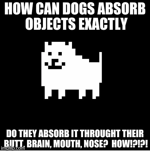Annoying Dog(undertale) | HOW CAN DOGS ABSORB OBJECTS EXACTLY; DO THEY ABSORB IT THROUGHT THEIR BUTT, BRAIN, MOUTH, NOSE?  HOW!?!?! | image tagged in annoying dogundertale,dogs,disturbing | made w/ Imgflip meme maker