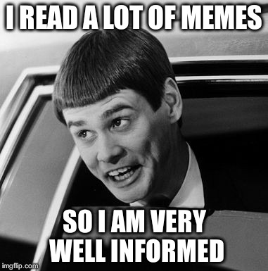 True Intellectual | I READ A LOT OF MEMES; SO I AM VERY WELL INFORMED | image tagged in memes | made w/ Imgflip meme maker