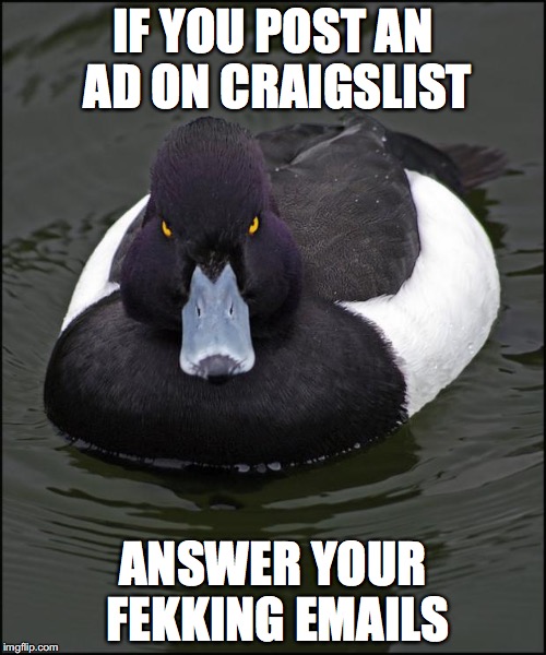 hi res angry advice mallard | IF YOU POST AN AD ON CRAIGSLIST; ANSWER YOUR FEKKING EMAILS | image tagged in hi res angry advice mallard,AdviceAnimals | made w/ Imgflip meme maker