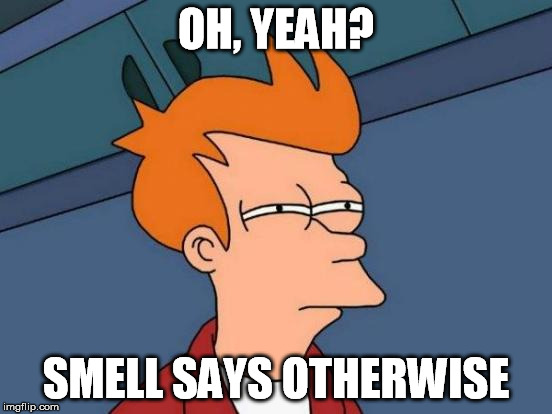 Futurama Fry Meme | OH, YEAH? SMELL SAYS OTHERWISE | image tagged in memes,futurama fry | made w/ Imgflip meme maker