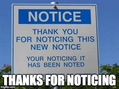 notice notice | THANKS FOR NOTICING | image tagged in notice me,notice notice | made w/ Imgflip meme maker