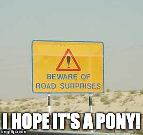 road surprises meme | I HOPE IT'S A PONY! | image tagged in beware,beware of road suprises | made w/ Imgflip meme maker
