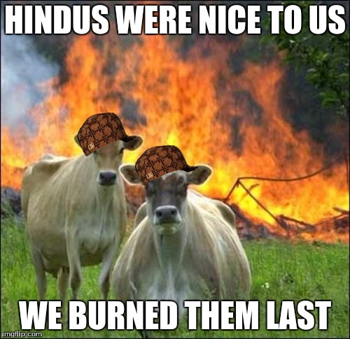 Evil Cows Meme | HINDUS WERE NICE TO US; WE BURNED THEM LAST | image tagged in memes,evil cows,scumbag | made w/ Imgflip meme maker