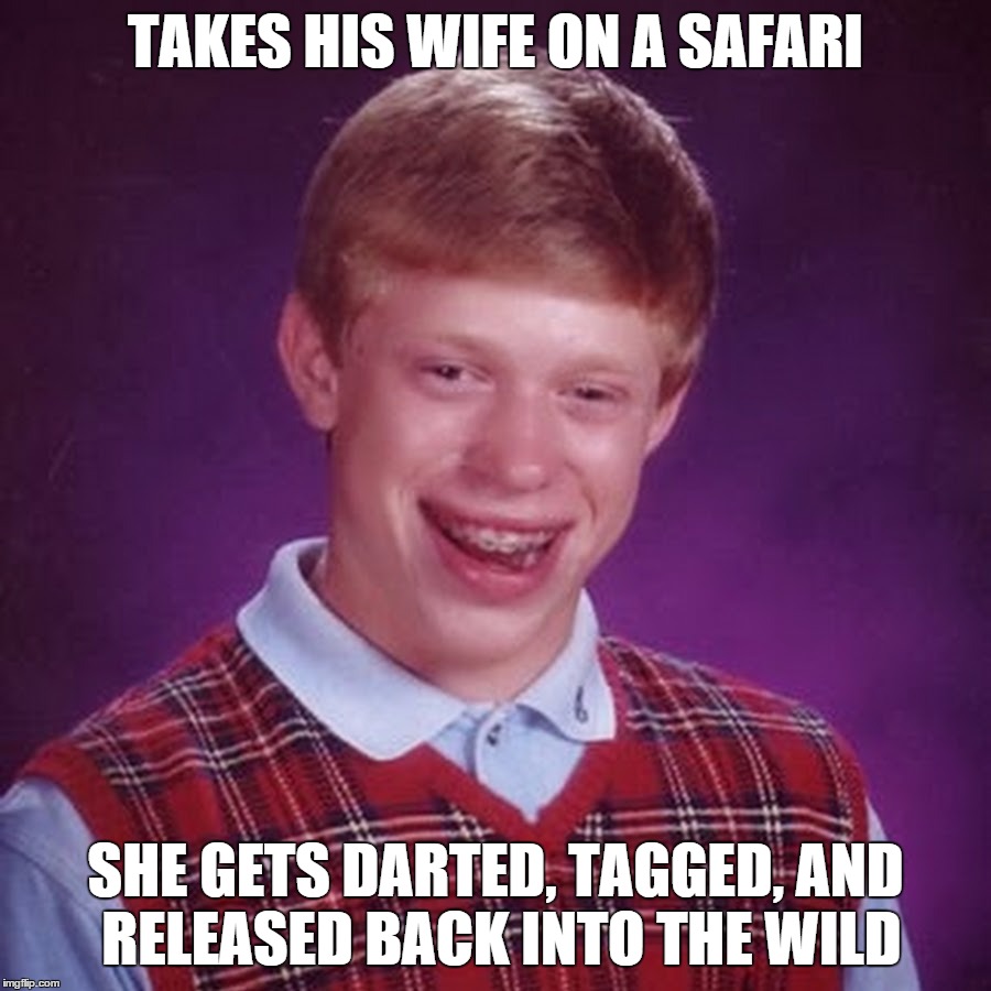 Coyote Ugly | TAKES HIS WIFE ON A SAFARI; SHE GETS DARTED, TAGGED, AND RELEASED BACK INTO THE WILD | image tagged in bad luck brian,ugly,hunting,peta,vacation,funny | made w/ Imgflip meme maker