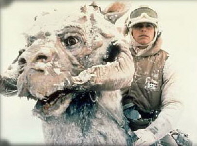 tauntaun Blank Meme Template