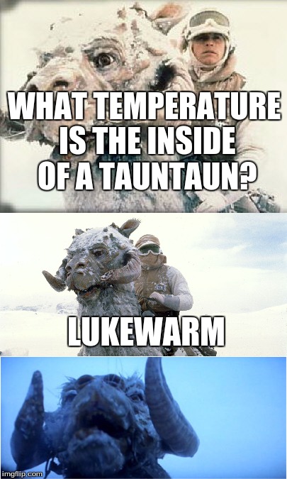 Bad Pun Tauntaun | WHAT TEMPERATURE IS THE INSIDE OF A TAUNTAUN? LUKEWARM | image tagged in star wars,tauntaun,the empire strikes back,puns | made w/ Imgflip meme maker