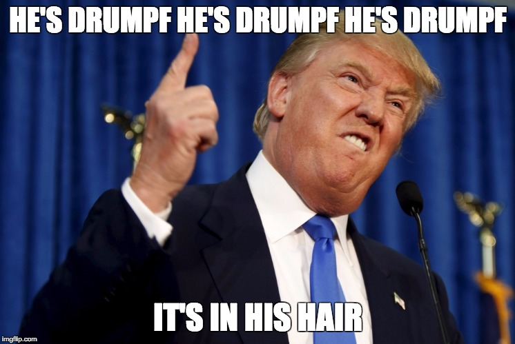 Donald Drumpf | HE'S DRUMPF HE'S DRUMPF HE'S DRUMPF; IT'S IN HIS HAIR | image tagged in donald trump hair,donald trump,donald drumpf | made w/ Imgflip meme maker