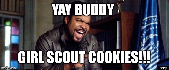 YAY BUDDY; GIRL SCOUT COOKIES!!! | image tagged in girl scout cookies | made w/ Imgflip meme maker