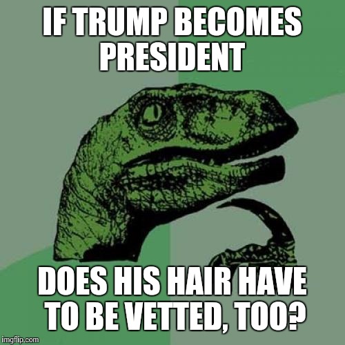 Philosoraptor | IF TRUMP BECOMES PRESIDENT; DOES HIS HAIR HAVE TO BE VETTED, TOO? | image tagged in memes,philosoraptor | made w/ Imgflip meme maker