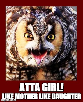 Angry Owl | ATTA GIRL! LIKE MOTHER LIKE DAUGHTER | image tagged in anger,owl,atta girl,mother,daughter | made w/ Imgflip meme maker