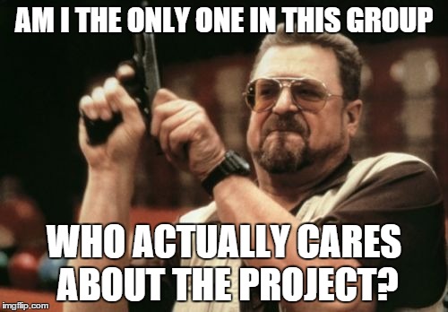 Am I The Only One Around Here | AM I THE ONLY ONE IN THIS GROUP; WHO ACTUALLY CARES ABOUT THE PROJECT? | image tagged in memes,am i the only one around here | made w/ Imgflip meme maker