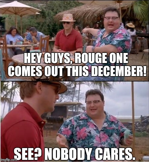 See Nobody Cares Meme | HEY GUYS, ROUGE ONE COMES OUT THIS DECEMBER! SEE? NOBODY CARES. | image tagged in memes,see nobody cares | made w/ Imgflip meme maker