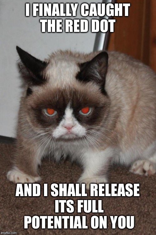 Grumpy Cat | I FINALLY CAUGHT THE RED DOT; AND I SHALL RELEASE ITS FULL POTENTIAL ON YOU | image tagged in grumpy cat red eyes,grumpy cat,evil,red | made w/ Imgflip meme maker
