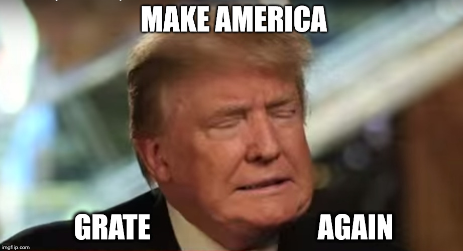 Oh Grate! |  MAKE AMERICA; GRATE                              AGAIN | image tagged in donald trump,make america great,donald j trump | made w/ Imgflip meme maker