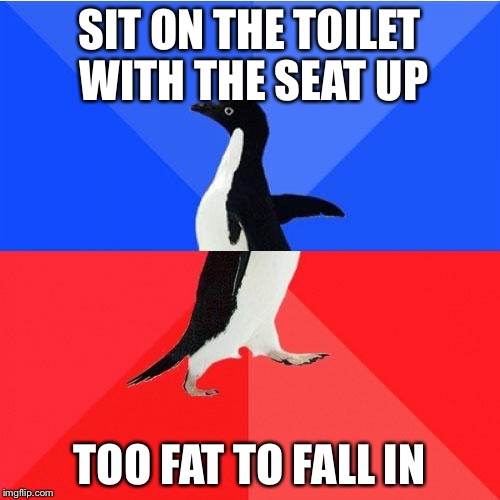 Socially Awkward Awesome Penguin Meme | SIT ON THE TOILET WITH THE SEAT UP; TOO FAT TO FALL IN | image tagged in memes,socially awkward awesome penguin,AdviceAnimals | made w/ Imgflip meme maker
