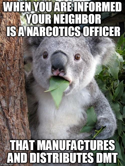 Surprised Koala | WHEN YOU ARE INFORMED YOUR NEIGHBOR IS A NARCOTICS OFFICER; THAT MANUFACTURES AND DISTRIBUTES DMT | image tagged in memes,surprised koala | made w/ Imgflip meme maker