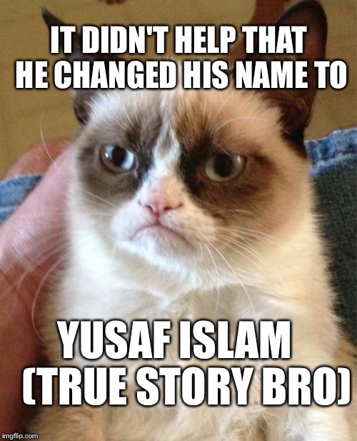 Grumpy Cat Meme | IT DIDN'T HELP THAT HE CHANGED HIS NAME TO YUSAF ISLAM  
(TRUE STORY BRO) | image tagged in memes,grumpy cat | made w/ Imgflip meme maker