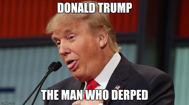 DONALD TRUMP; THE MAN WHO DERPED | image tagged in donald derp | made w/ Imgflip meme maker