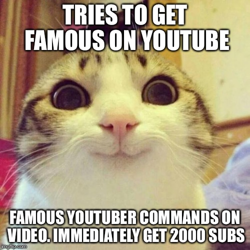 Smiling Cat Meme | TRIES TO GET FAMOUS ON YOUTUBE; FAMOUS YOUTUBER COMMANDS ON VIDEO. IMMEDIATELY GET 2000 SUBS | image tagged in memes,smiling cat | made w/ Imgflip meme maker