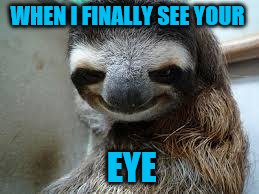 Creepy sloth |  WHEN I FINALLY SEE YOUR; EYE | image tagged in creepy sloth | made w/ Imgflip meme maker