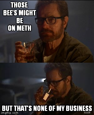 THOSE BEE'S MIGHT BE ON METH BUT THAT'S NONE OF MY BUSINESS | made w/ Imgflip meme maker