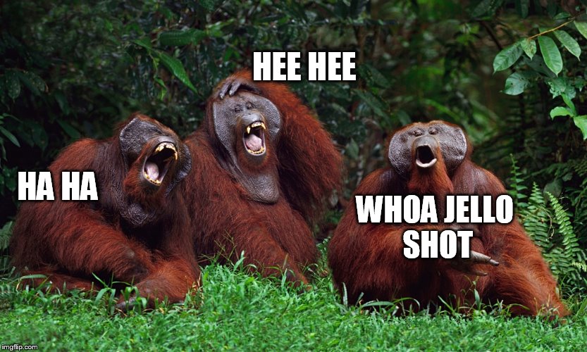 laughing orangutans | HA HA HEE HEE WHOA JELLO SHOT | image tagged in laughing orangutans | made w/ Imgflip meme maker