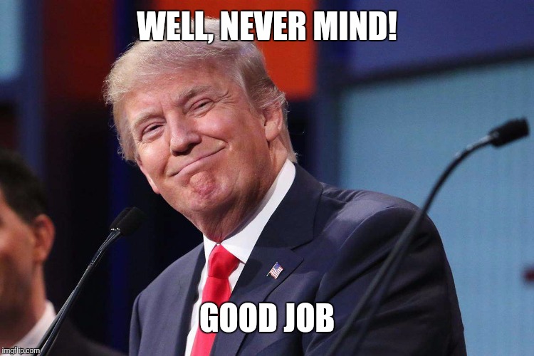 Donald Trump | WELL, NEVER MIND! GOOD JOB | image tagged in donald trump | made w/ Imgflip meme maker