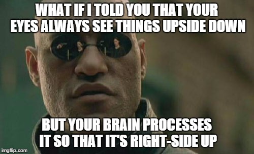 Matrix Morpheus Meme | WHAT IF I TOLD YOU THAT YOUR EYES ALWAYS SEE THINGS UPSIDE DOWN BUT YOUR BRAIN PROCESSES IT SO THAT IT'S RIGHT-SIDE UP | image tagged in memes,matrix morpheus | made w/ Imgflip meme maker