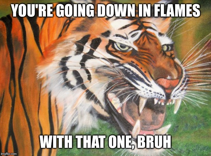 Hipster tiger | YOU'RE GOING DOWN IN FLAMES WITH THAT ONE, BRUH | image tagged in hipster tiger | made w/ Imgflip meme maker