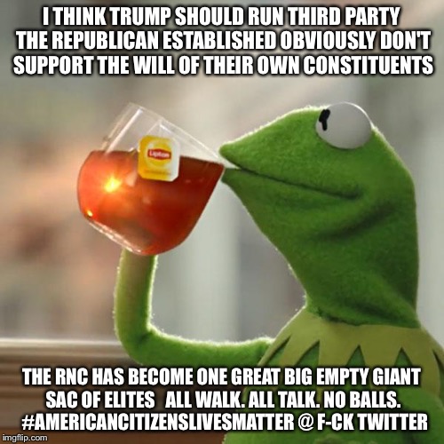 Political Leapfrog That's None Of My Business | I THINK TRUMP SHOULD RUN THIRD PARTY THE REPUBLICAN ESTABLISHED OBVIOUSLY DON'T SUPPORT THE WILL OF THEIR OWN CONSTITUENTS; THE RNC HAS BECOME ONE GREAT BIG EMPTY GIANT SAC OF ELITES   ALL WALK. ALL TALK. NO BALLS. 
#AMERICANCITIZENSLIVESMATTER @ F-CK TWITTER | image tagged in twitter,republicans,democrats,donald trump,election 2016,political meme | made w/ Imgflip meme maker