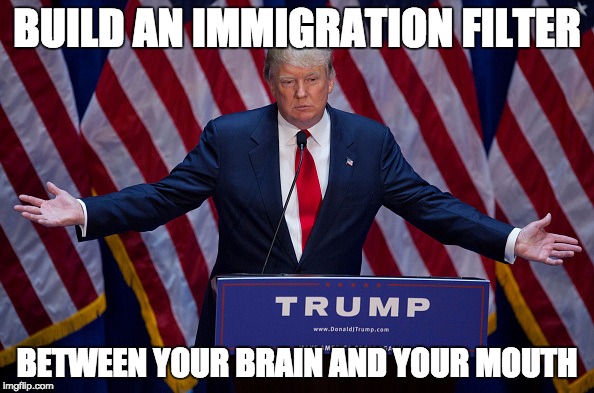 Immigration Filter | BUILD AN IMMIGRATION FILTER; BETWEEN YOUR BRAIN AND YOUR MOUTH | image tagged in donald trump | made w/ Imgflip meme maker