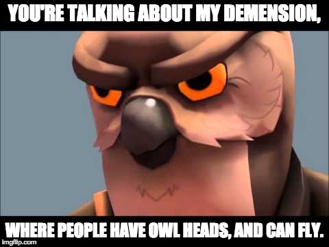 Owl sniper | YOU'RE TALKING ABOUT MY DEMENSION, WHERE PEOPLE HAVE OWL HEADS, AND CAN FLY. | image tagged in owl sniper | made w/ Imgflip meme maker