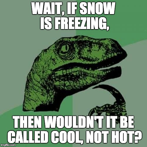 Philosoraptor Meme | WAIT, IF SNOW IS FREEZING, THEN WOULDN'T IT BE CALLED COOL, NOT HOT? | image tagged in memes,philosoraptor | made w/ Imgflip meme maker