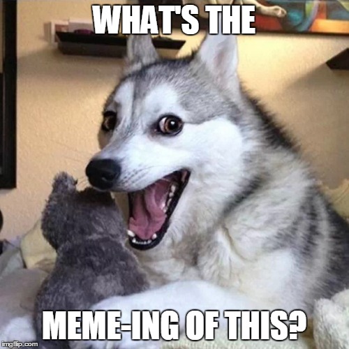 WHAT'S THE MEME-ING OF THIS? | made w/ Imgflip meme maker
