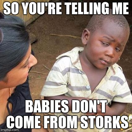 Third World Skeptical Kid | SO YOU'RE TELLING ME; BABIES DON'T COME FROM STORKS | image tagged in memes,third world skeptical kid | made w/ Imgflip meme maker