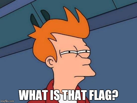 Futurama Fry Meme | WHAT IS THAT FLAG? | image tagged in memes,futurama fry | made w/ Imgflip meme maker