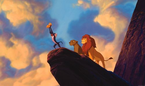 High Quality circle of life Blank Meme Template