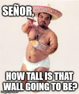 the wall | SEÑOR, HOW TALL IS THAT WALL GOING TO BE? | image tagged in wall | made w/ Imgflip meme maker