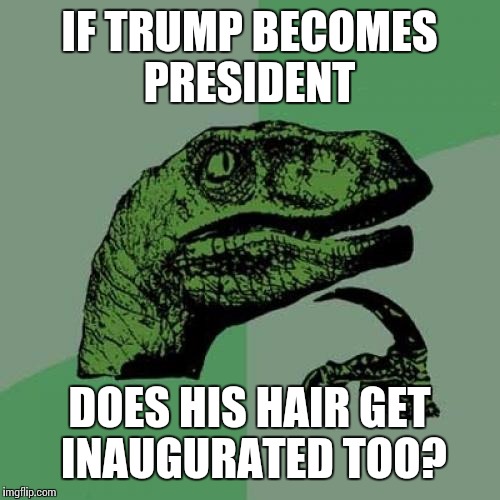 Philosoraptor | IF TRUMP BECOMES PRESIDENT; DOES HIS HAIR GET INAUGURATED TOO? | image tagged in memes,philosoraptor | made w/ Imgflip meme maker