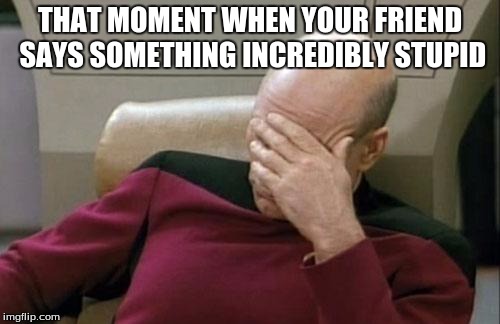 Captain Picard Facepalm | THAT MOMENT WHEN YOUR FRIEND SAYS SOMETHING INCREDIBLY STUPID | image tagged in memes,captain picard facepalm | made w/ Imgflip meme maker
