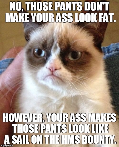 Grumpy Cat Meme | NO, THOSE PANTS DON'T MAKE YOUR ASS LOOK FAT. HOWEVER, YOUR ASS MAKES THOSE PANTS LOOK LIKE A SAIL ON THE HMS BOUNTY. | image tagged in memes,grumpy cat | made w/ Imgflip meme maker