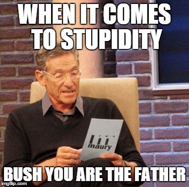 Maury Lie Detector | WHEN IT COMES TO STUPIDITY; BUSH YOU ARE THE FATHER | image tagged in memes,maury lie detector | made w/ Imgflip meme maker