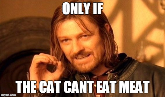 One Does Not Simply Meme | ONLY IF THE CAT CANT EAT MEAT | image tagged in memes,one does not simply | made w/ Imgflip meme maker